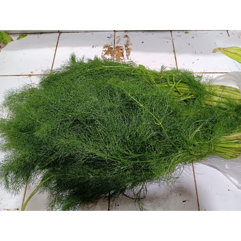 

daun dill segar 250gr