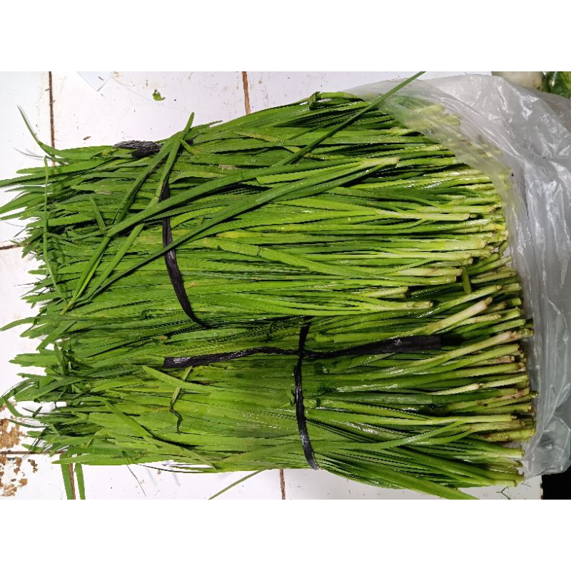 

daun kucai segar 250gr