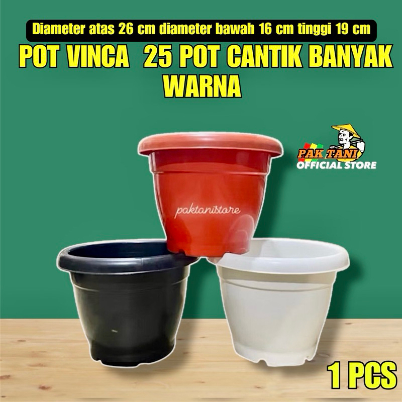 POT VINCA KECIL UKURAN 25 POT BUNGA ELEGAN CANTIK BANYAK WARNA SOLID