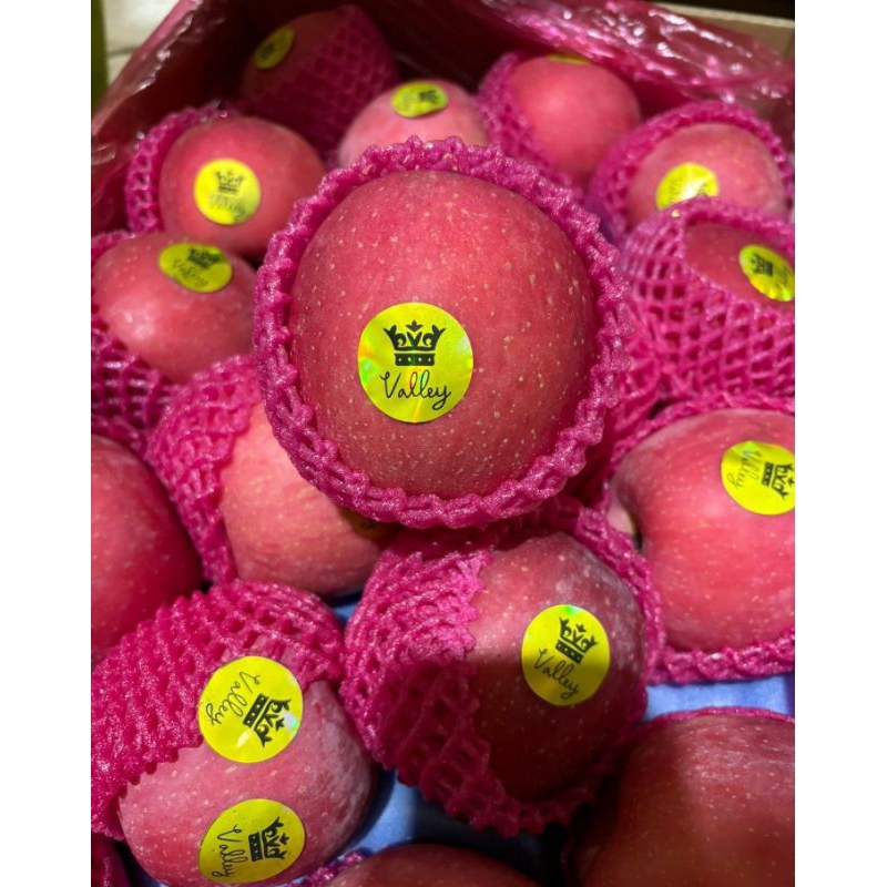 

APEL FUJI BLUSH KING VALLEY | Apel Fuji Valley | | Apel kriuk