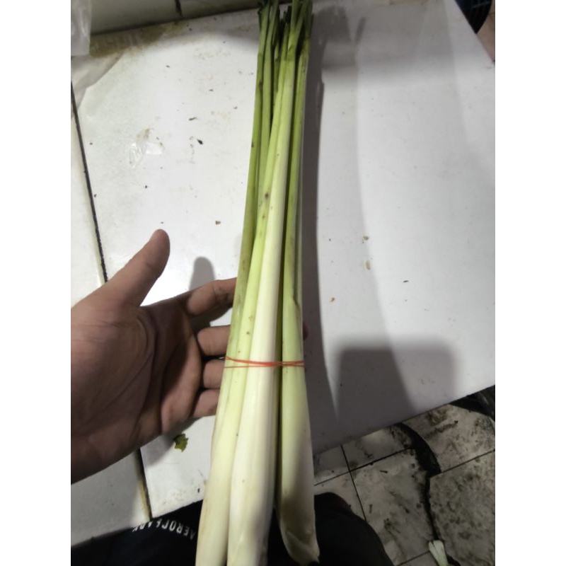 

serai 1ikt berat 250grm