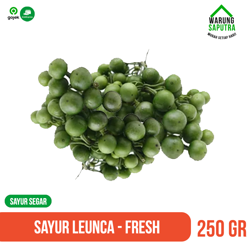 

Sayur / Buah Leunca Segar 250 g