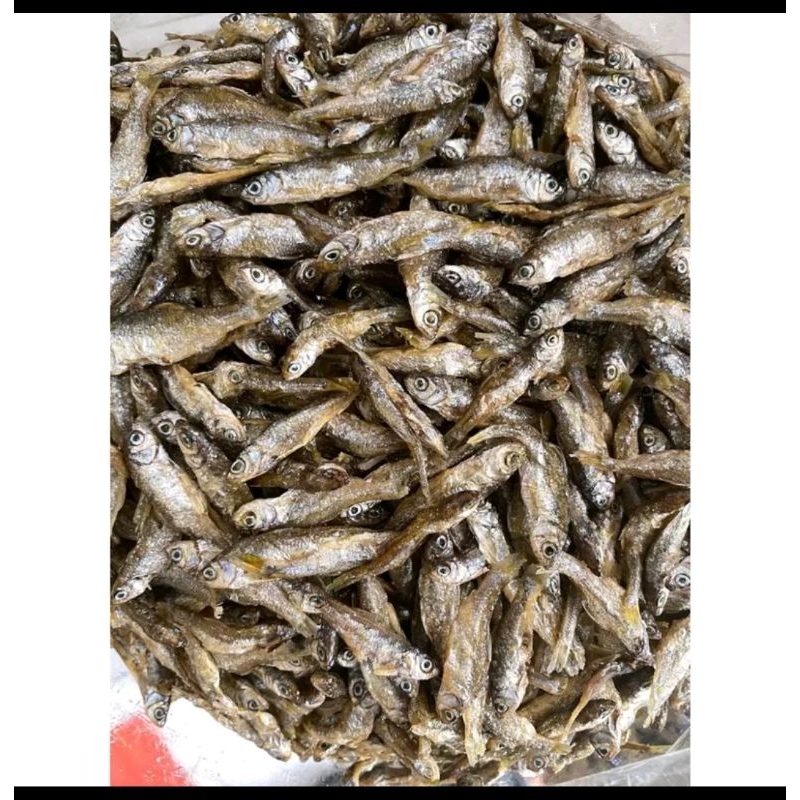 

Ikan bilih Singkarak sumbar