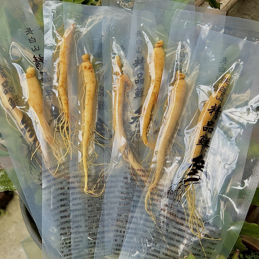 

Akar Ginseng Asli Pegunungan Changbai (20gr)