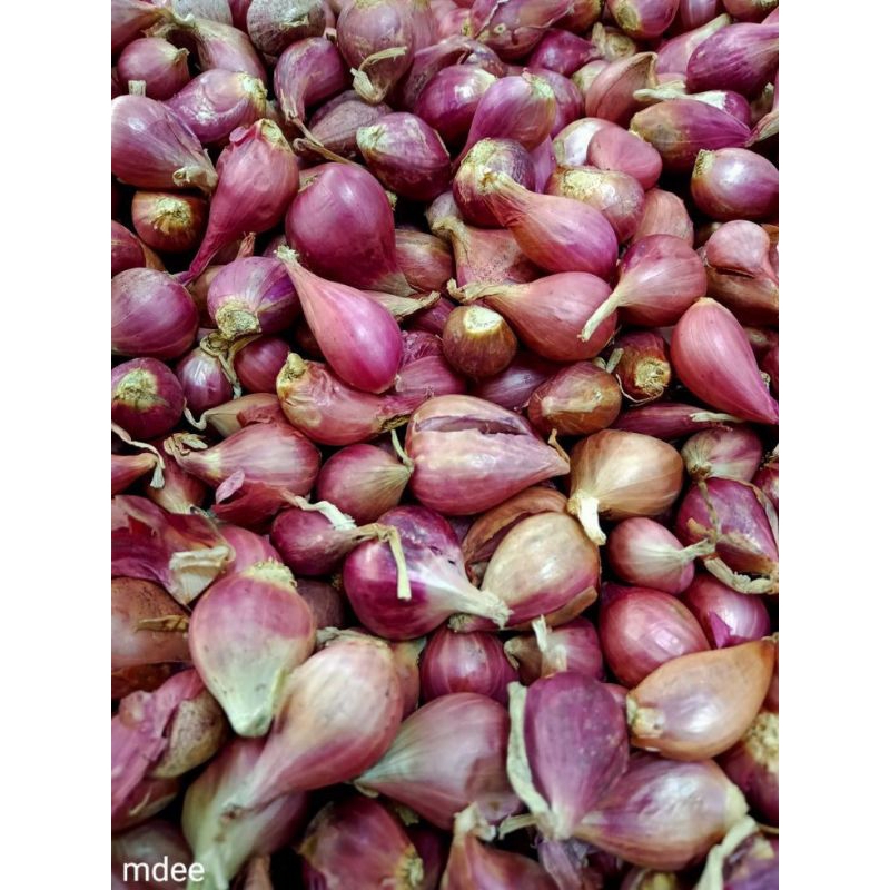 

bawang merah