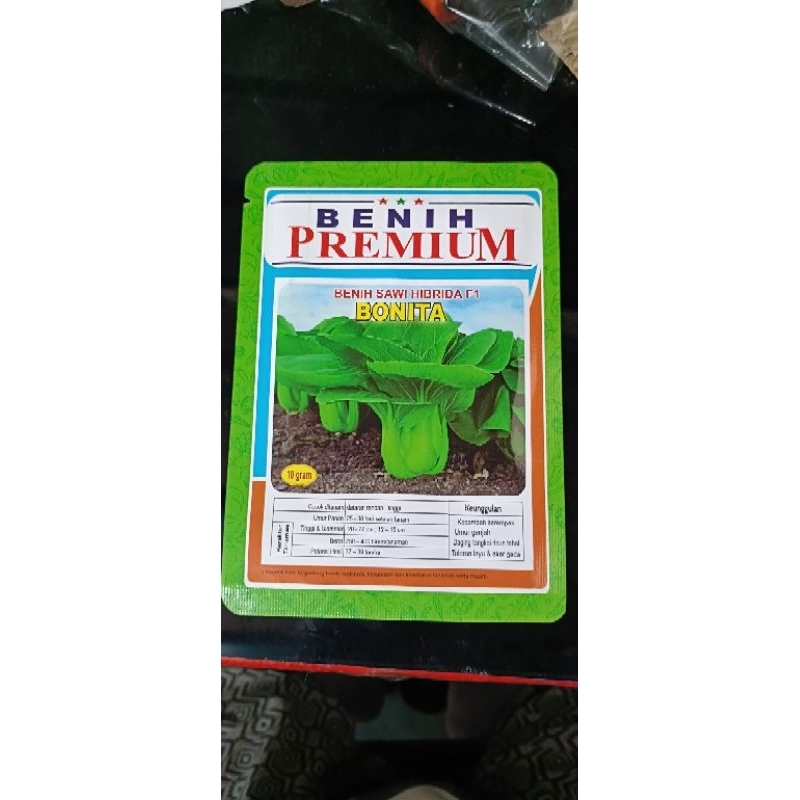 Benih sawi pakcoy atau sawi daging