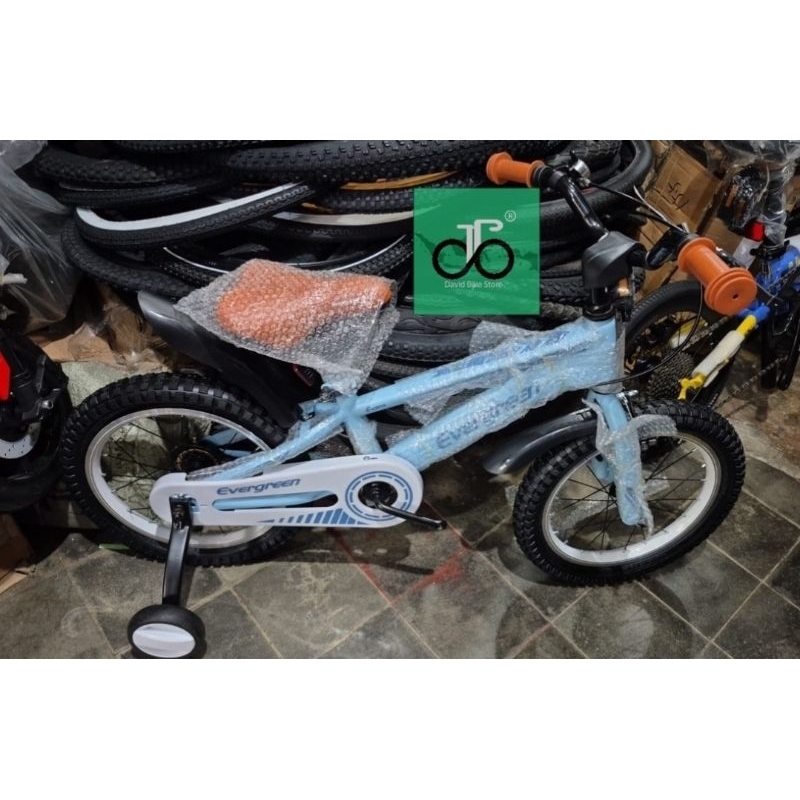 Sepeda BMX 16" Evergreen Evans TERBARU 16