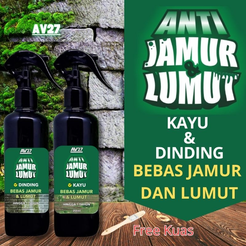 Anti Jamur & Lumut Kayu Anti Jamur Lumut Dinding | Melindungi dan mencegah Lumut dan Jamur datang ke