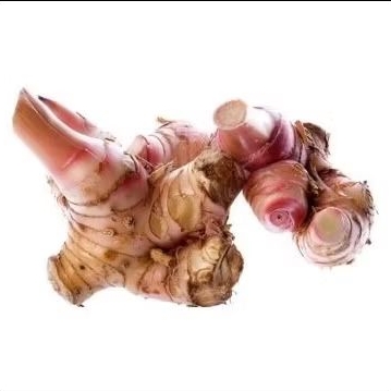 

LENGKUAS MUDA 500G/ 1kg