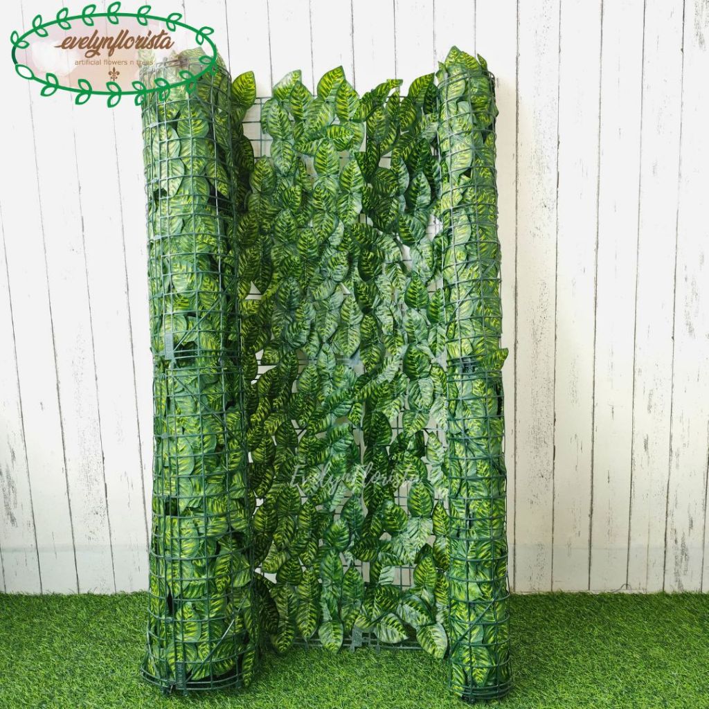 Daun Hias Dekorasi Dinding Rambat Gulung Watermelon Model Daun Oval Hiasan Pagar Rumah