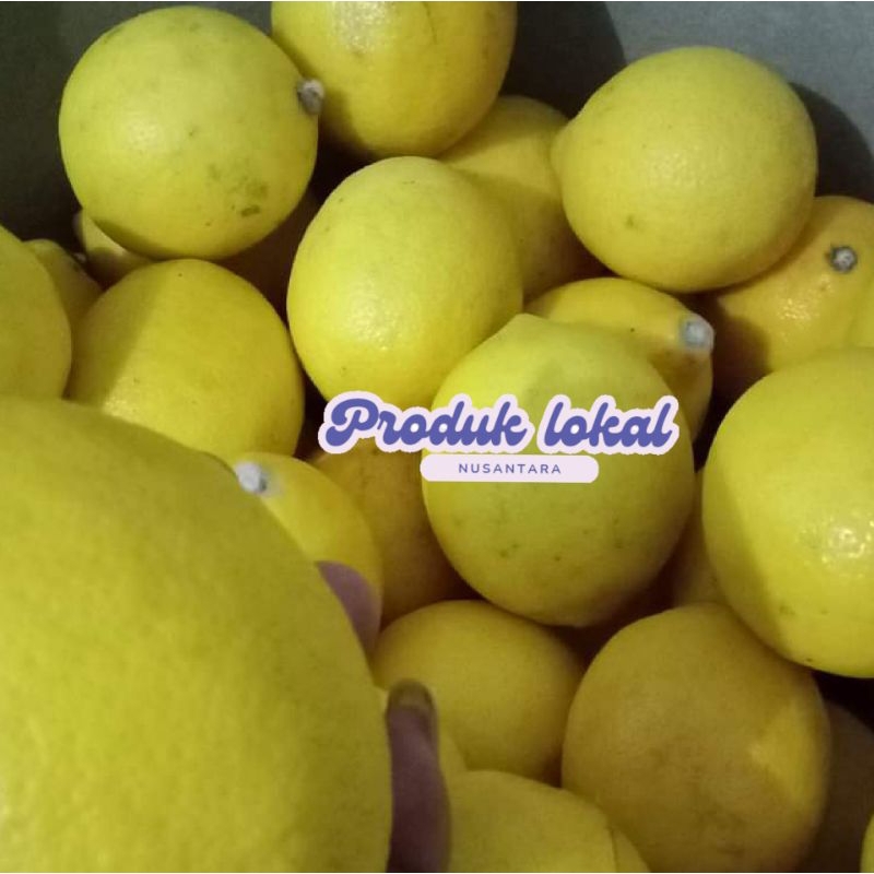 

Jeruk Lemon Lokal 1kg