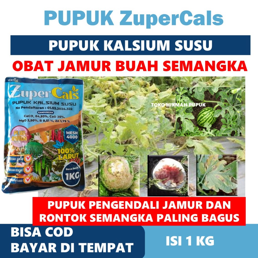 PROMO PUPUK SEMANGKA ZUPER CALS 1 KG MENGATASI JAMUR BUAH SEMANGKA PALING BAGUS - Obat Kalsium Tanam