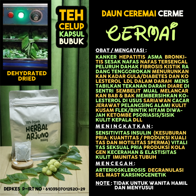 

Dehydrated Dried Teh Celup Kapsul Bubuk Daun Cermai Ceremai Cerme Obat Kanker Asma Sesak Nafas Tersengal Bronkitis Fibrosis Kistik Diabetes Kolesterol Hepatitis Kesuburan Vitalitas Pria Kualitas Kuantitas Sperma Pelangsing Cacar Kulit Kusam Herbal Alami