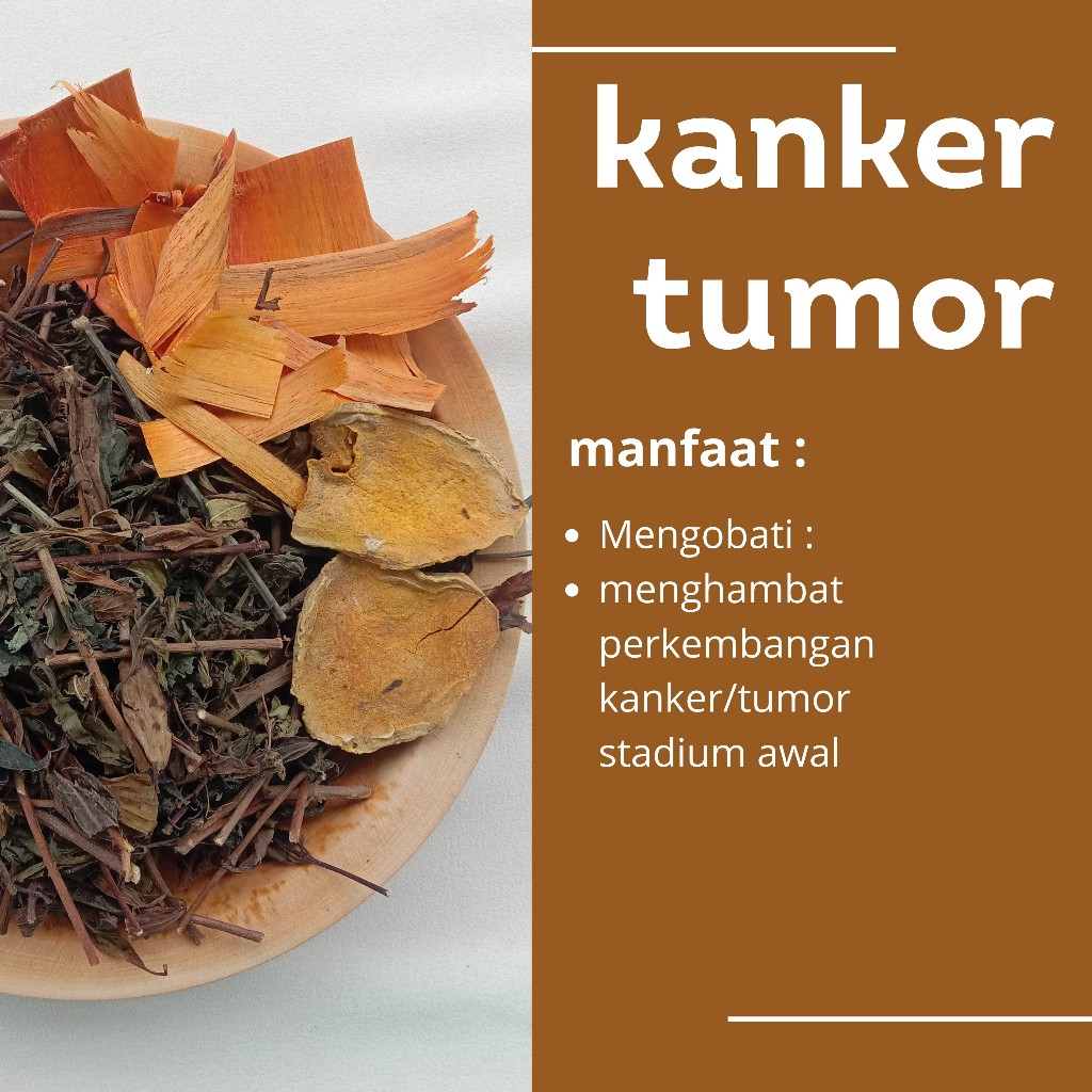 

JAMU TRADISIONAL REMPAH HERBAL ALAMI UNTUK MENGOBATI KANKER TUMOR