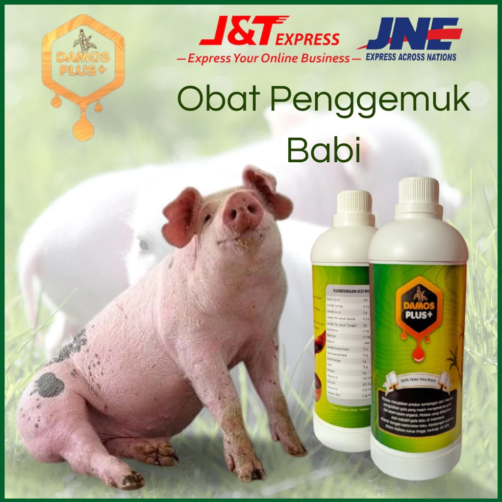 Damos Plus obat penggemuk babi | Obat cacing babi, Suplemen penggemuk babi, obat vitamin untuk babi