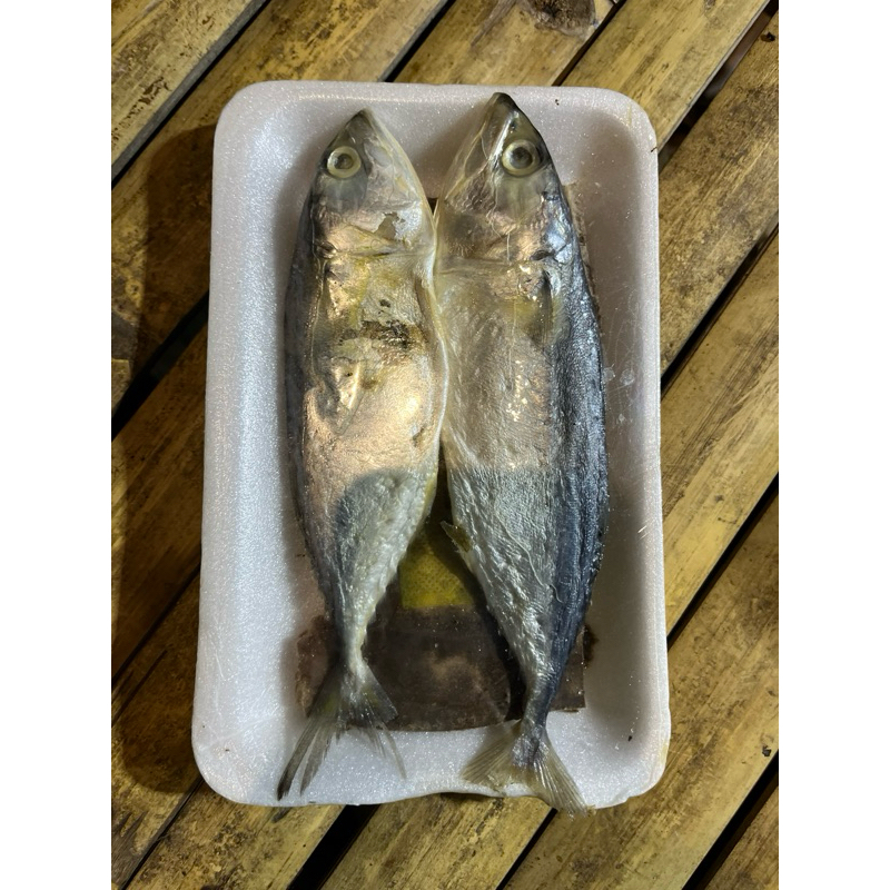 

Ikan asin kembung putih