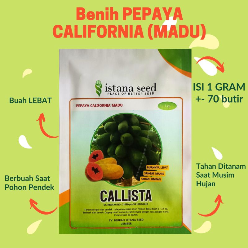 Benih Pepaya California Madu CALLISTA Isi 1 gram (70 Butir +-) / Bibit Pepaya California Madu CALLIS