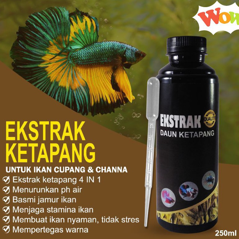 Mau Hemat Extrak Daun Ketapang 25ml Super Pekat Untuk an Ikan Channa Cupang