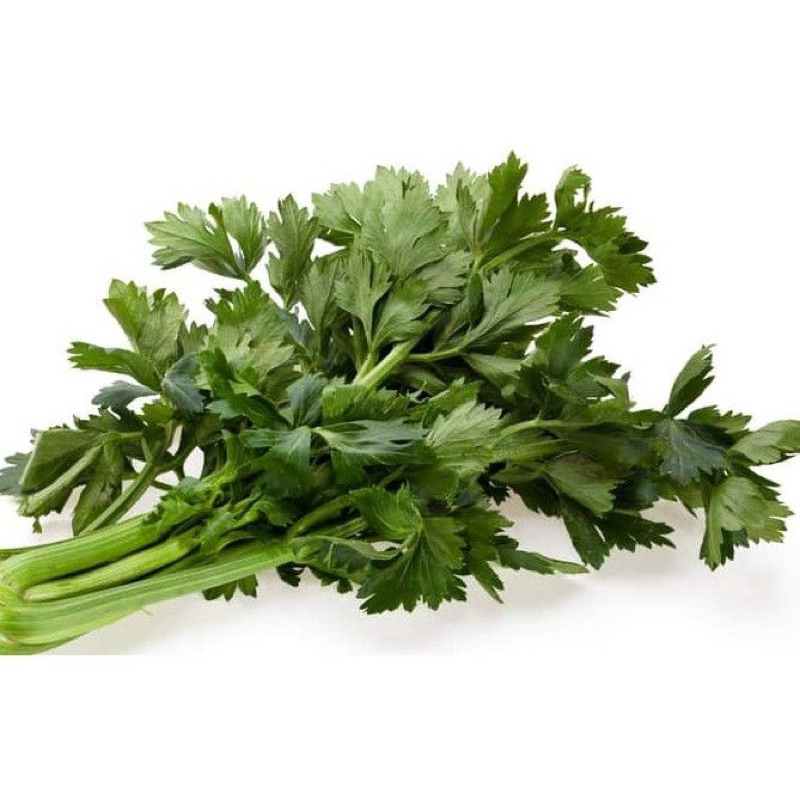 

PASAR FRESH DAUN SELEDRI 500 gr