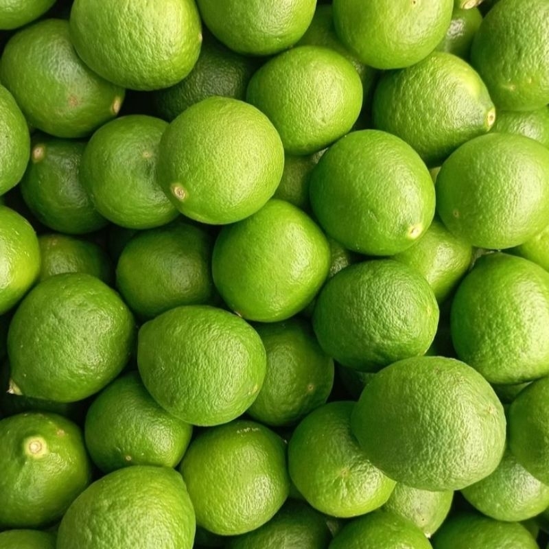 

JERUK NIPIS