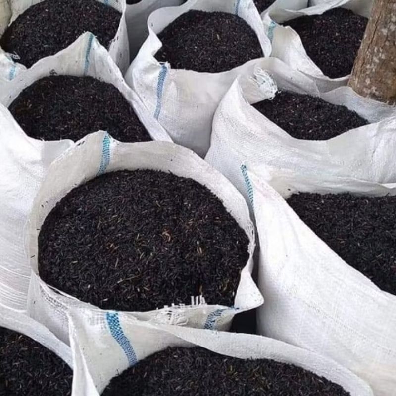 SEKAM BAKAR 25KG UKURAN KARUNG SEKAM BAKAR ARANG SEKAM BAKAR 25KG