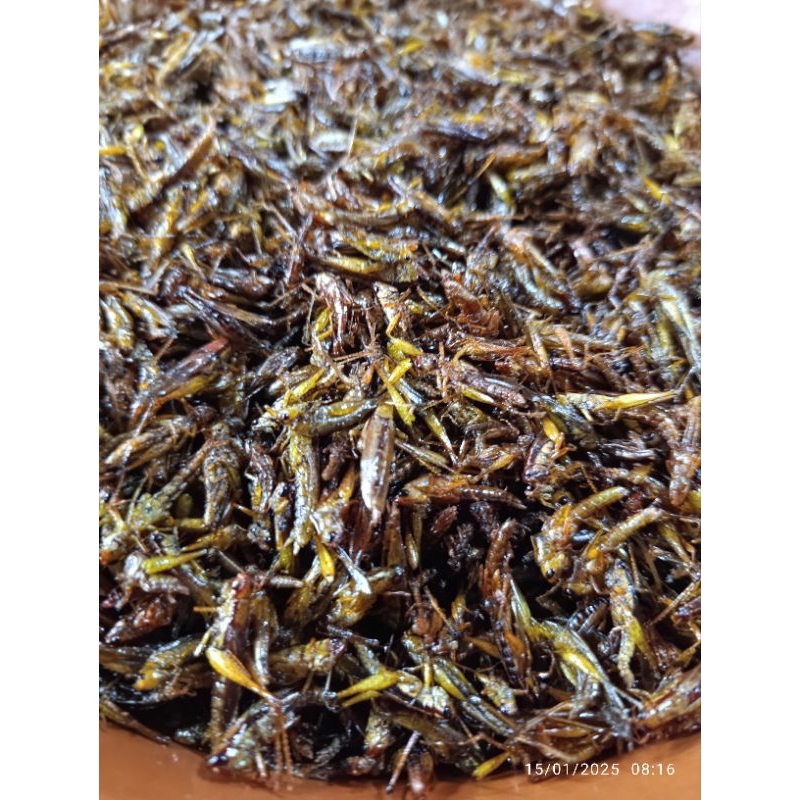 

walangberas
