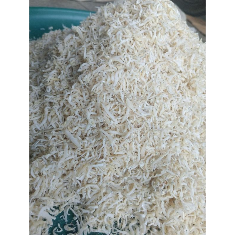 

ikan teriedan/teri nasi