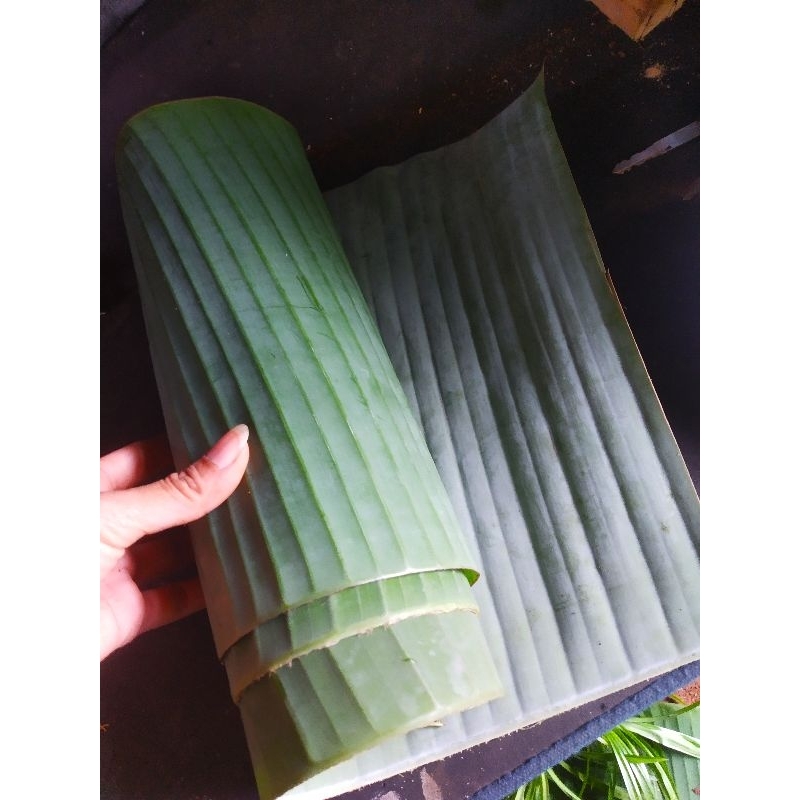 

Daun pisang Fresh 5 lembar