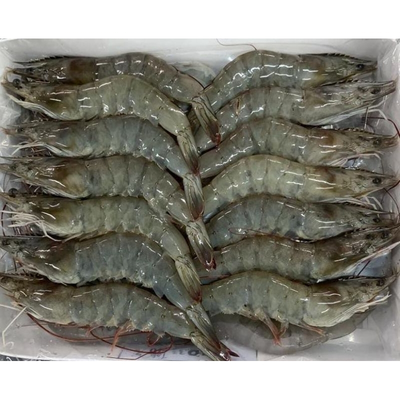 

Udang Vanamei Utuh Premium 70 - 90 PCS/KG