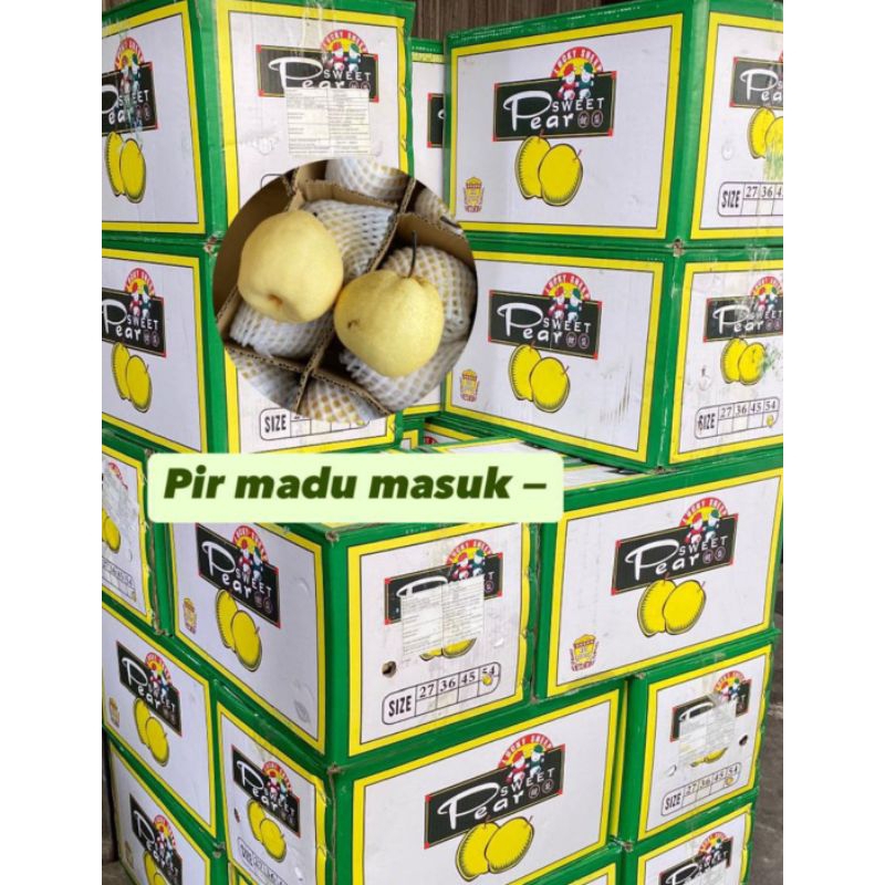 

buah pir madu 1 keranjang