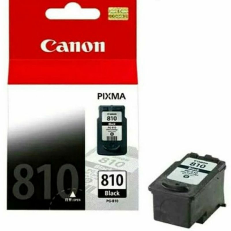 TINTA CANON 810