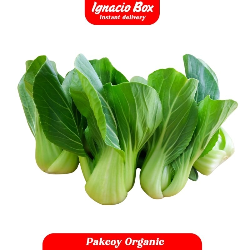 

PROMO [250Gr] Sayur Pakcoy Segar Organik IgnacioBox Fruit