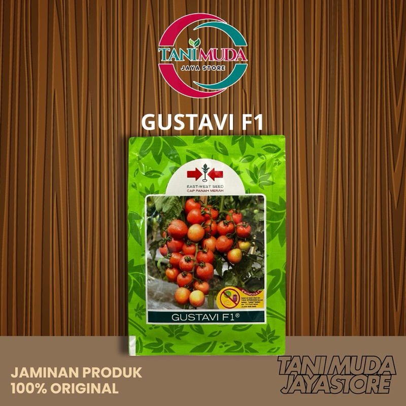 GUSTAVI F1 BENIH TOMAT