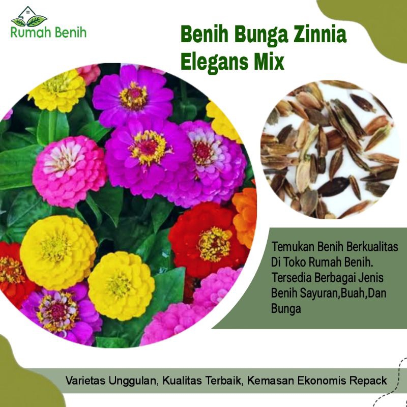 Benih Bunga Zinnia Elegans Mix Colour / Bibit Benih Bunga Zinnia / Biji Benih Bunga zinnia Elegans /