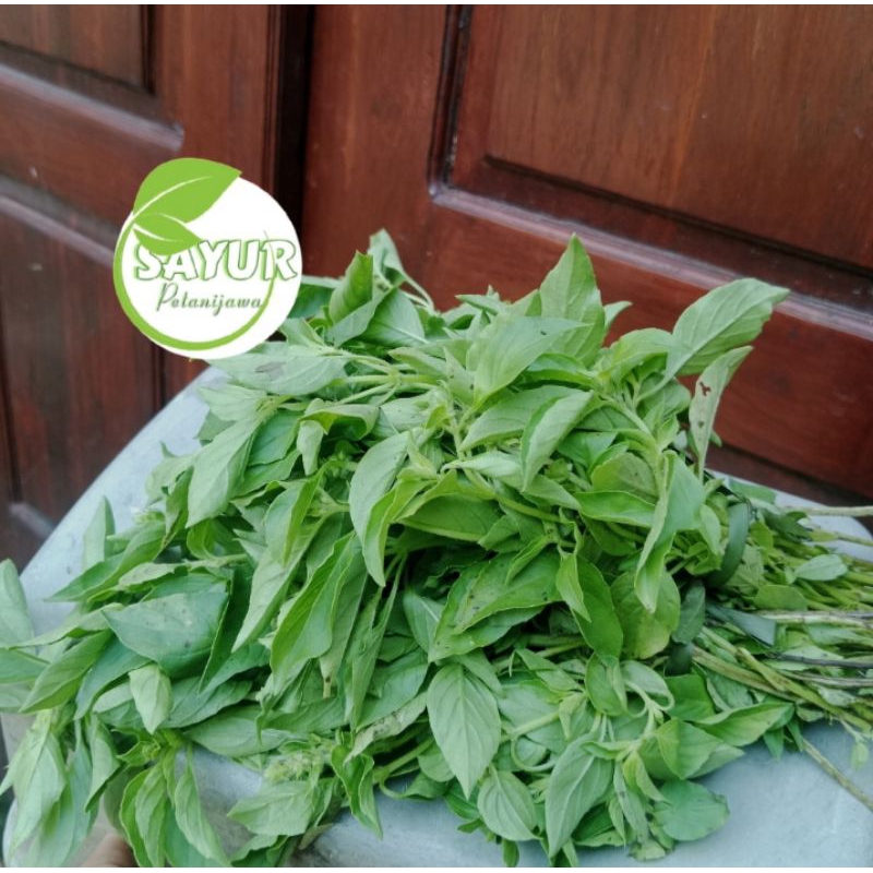 

Daun kemangi Segar | Daun Kemangi 1 ikat