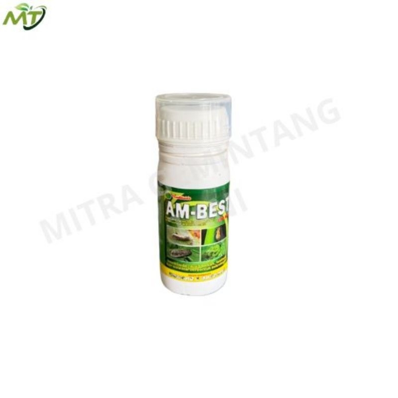 Insektisida Ambest 100ME 100ml