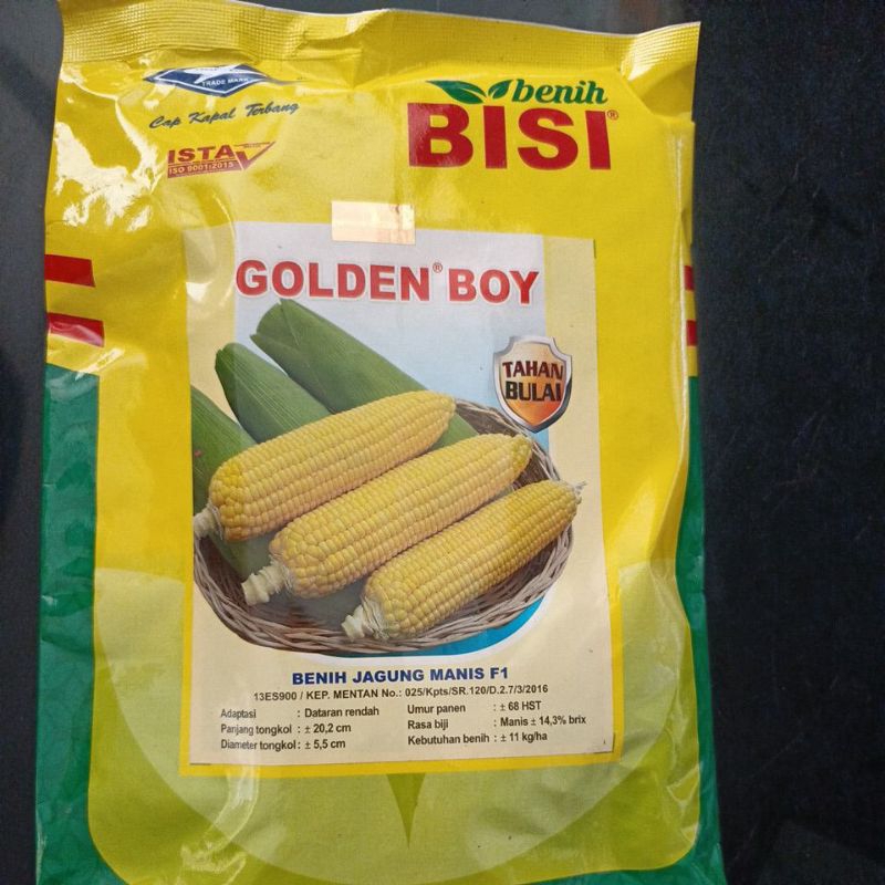 

Jagung manis GOLDEN BOY