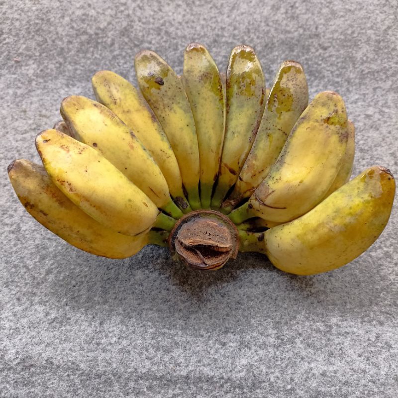 

Pisang Kepok Kuning Manis, Pisang Uli, ½ Mateng 1 Sisir -1kg lebih