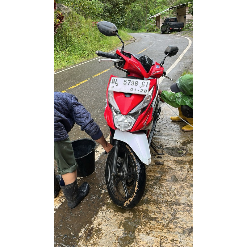 

melon hijau
