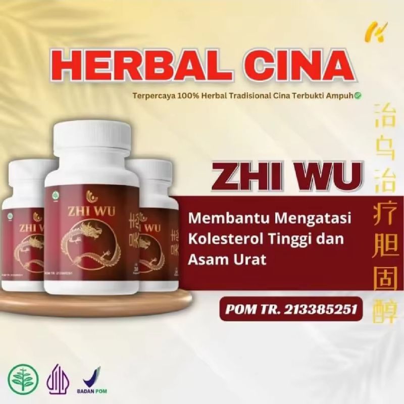 ZHI WU Obat Herbal Cina Asli Zhiwu Atasi Asam Urat Kolesterol Rematik Original