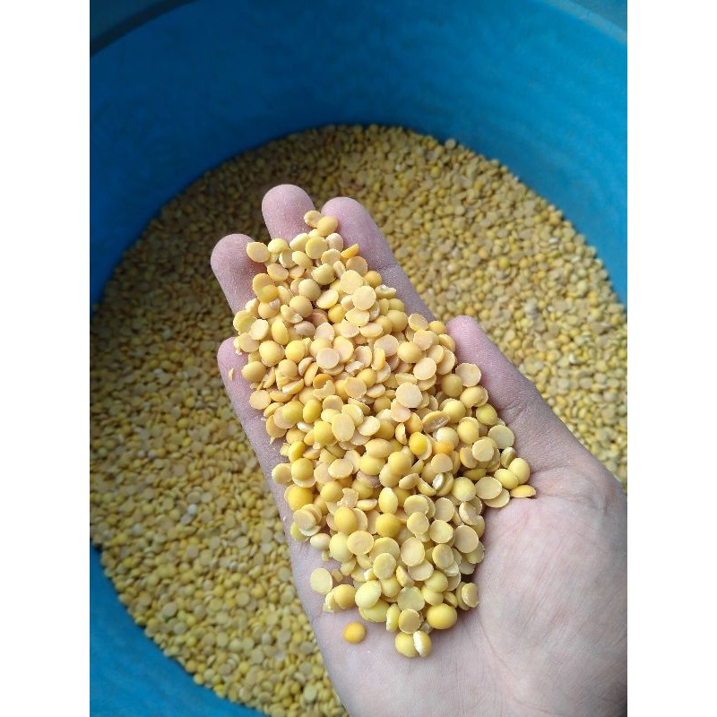 

Kedelai Kupas 1kg - grade A (tanpa kulit)
