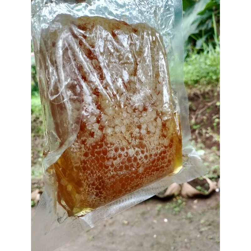 

sarang madu asli 100%
