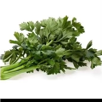 

daun seledri 250gr.