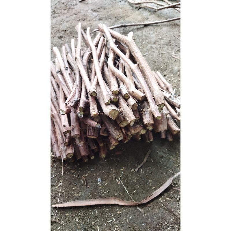 

cutting rostok bella kemasan 1kg