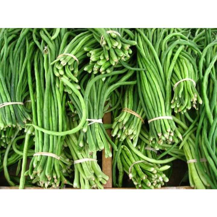 

Kacang Panjang Fresh Asli Lokal 1kg