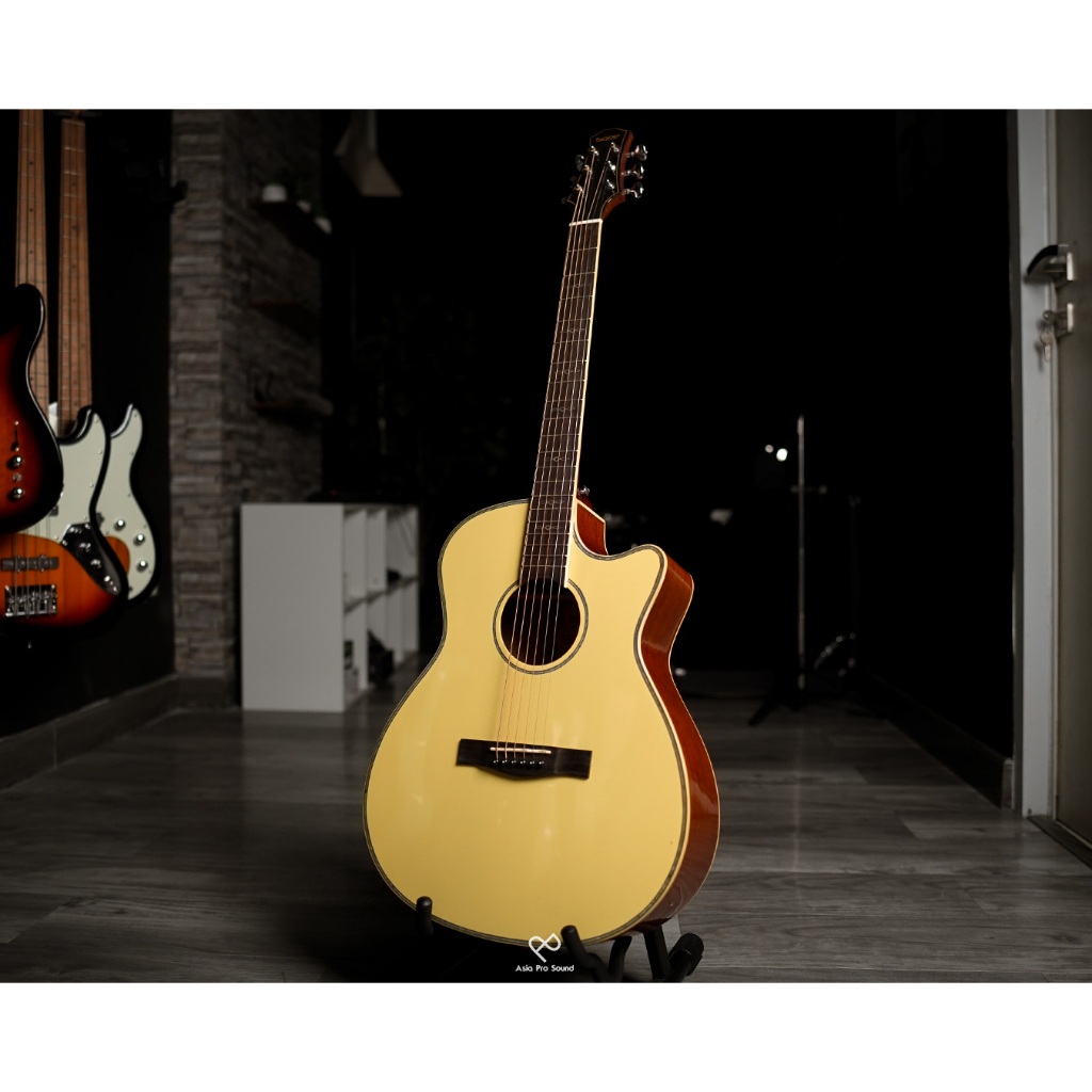 SQOE SPAIN XLDC YN ACOUSTIC ELECTRIC IN YELLOW NATURAL