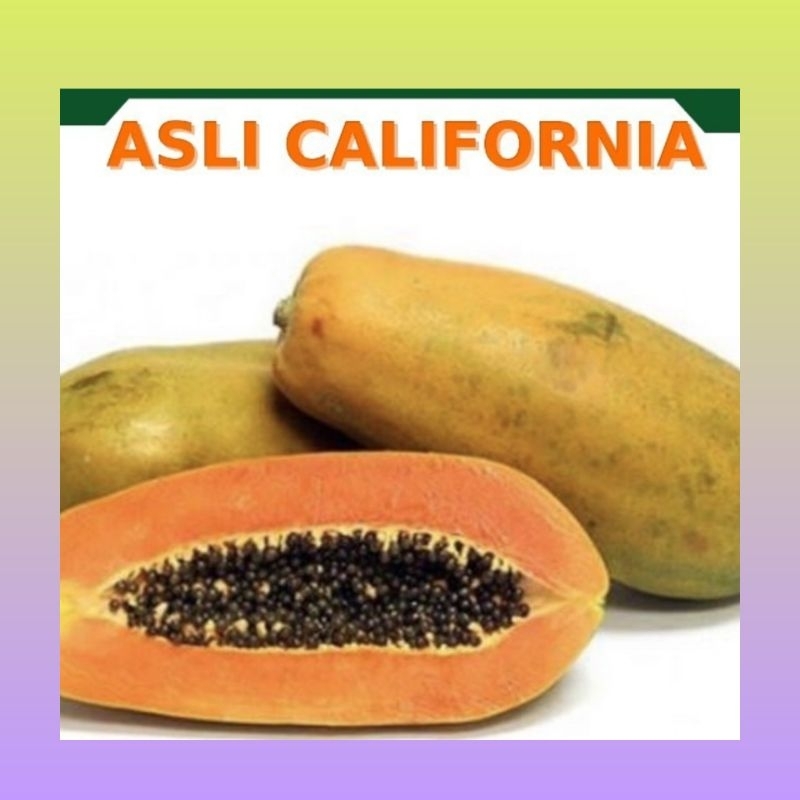 

Pepaya California segar premium 1 kg | Pepaya California fresh | Pepaya California segar | Pepaya California manis