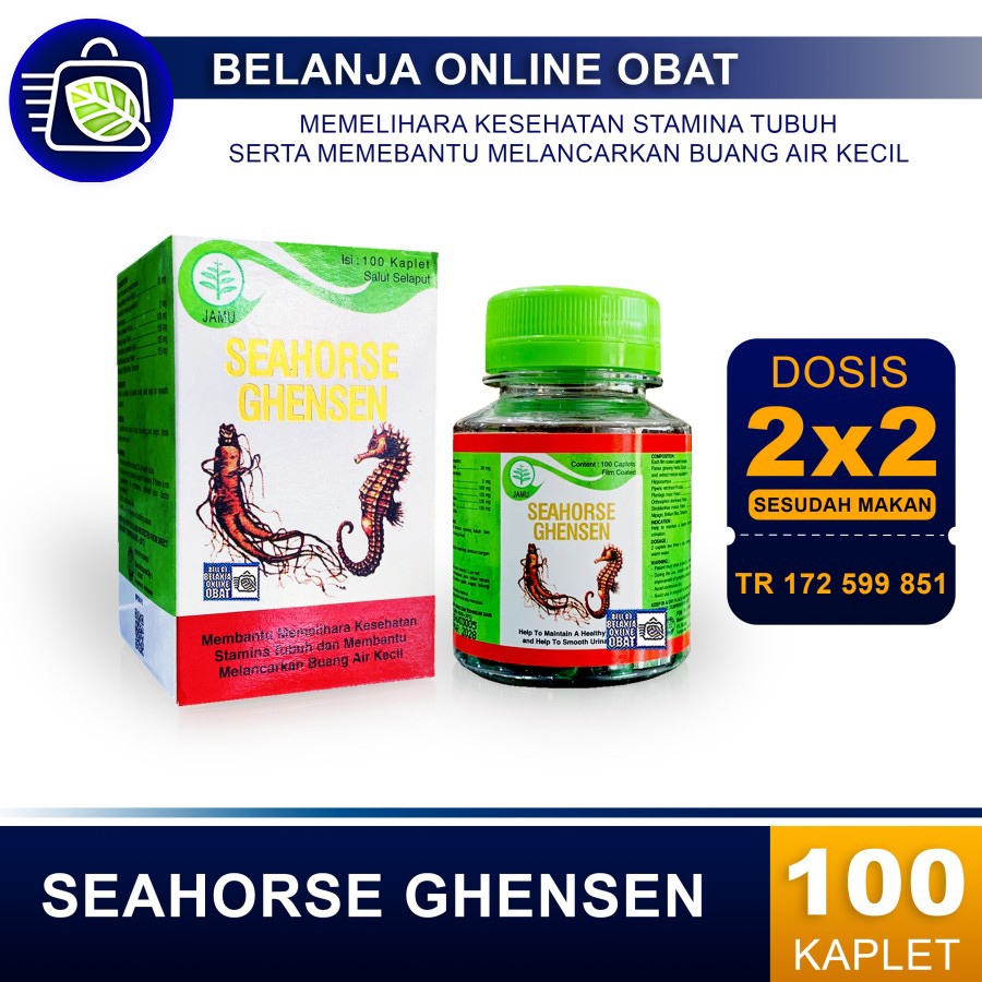SEAHORSE GHENSEN // Memelihara kesehatan Ginjal
