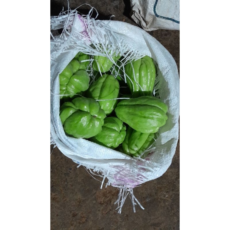 

LABU SIAM FRESS 500gr