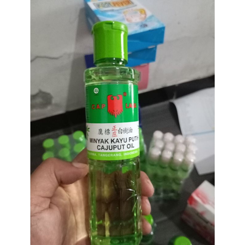 Caplang MINYAK KAYU PUTIH 210 ML